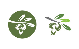 Olive Oil leaf vector logo icon illustration design v.12