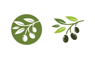 Olive Oil leaf vector logo icon illustration design v.2