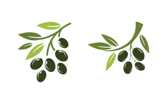 Olive Oil leaf vector logo icon illustration design v.4