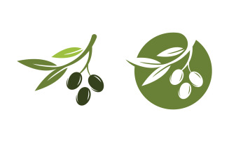 Olive Oil leaf vector logo icon illustration design v.8