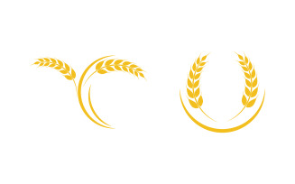 Agriculture farm wheat rice vector illustration design v.7