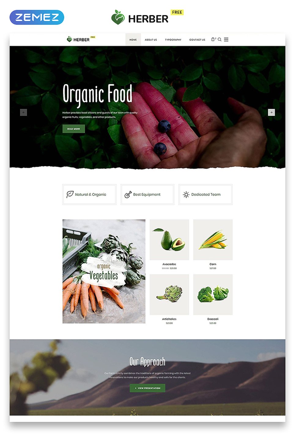 Free Website Template for Food Delivery