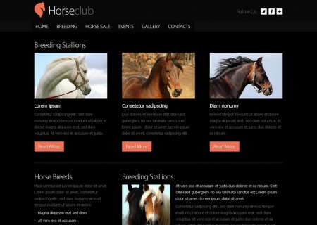 Free   - Horse Club