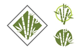 Bamboo vector icon Logo illustration design template vv.3