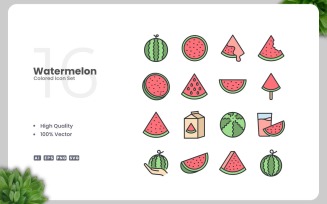 16 Watermelon Colored Icons Set