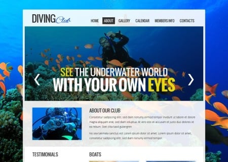 Free   - Diving Club