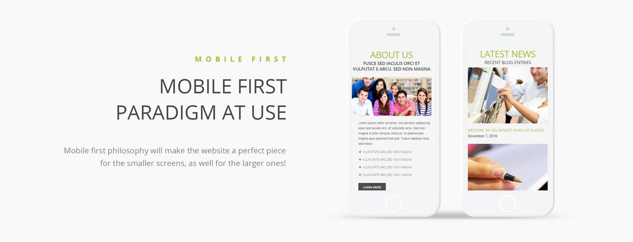 средняя школа продвижение wordpress тема