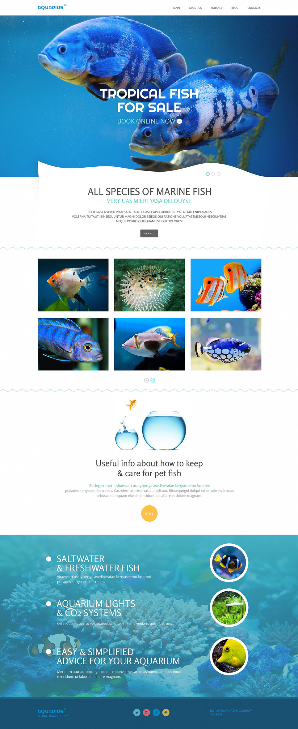 Fish Responsive Website Template New Screenshots BIG