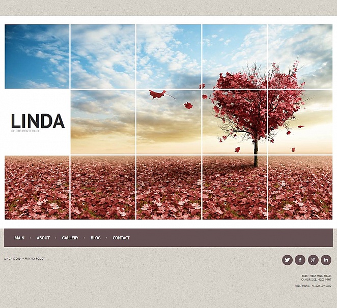 Photographer Portfolio Photo Gallery Template New Screenshots BIG