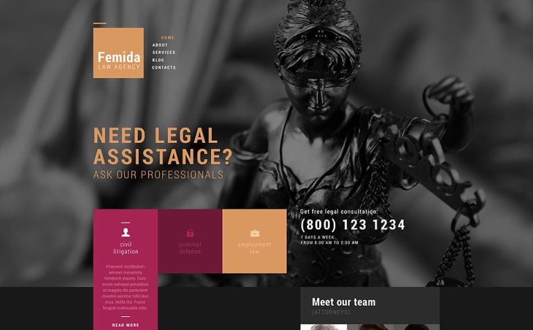 Public Justice Agency WordPress Theme