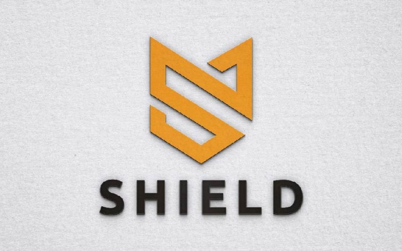 Shield Guard Protection Safety Business Abstract Line Logo Template