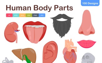 Human Body Parts Icons Pack – Detailed Anatomy & Medical Illustrations