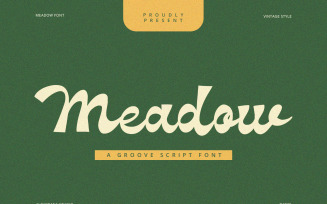 Meadow - Groove Script Font