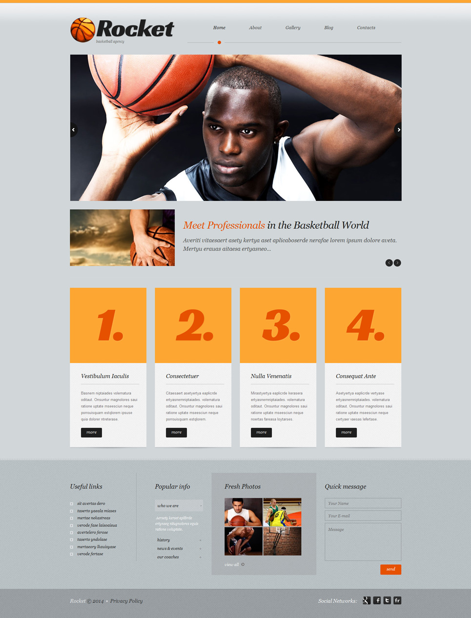 Basketball Responsive WordPress Theme New Screenshots BIG