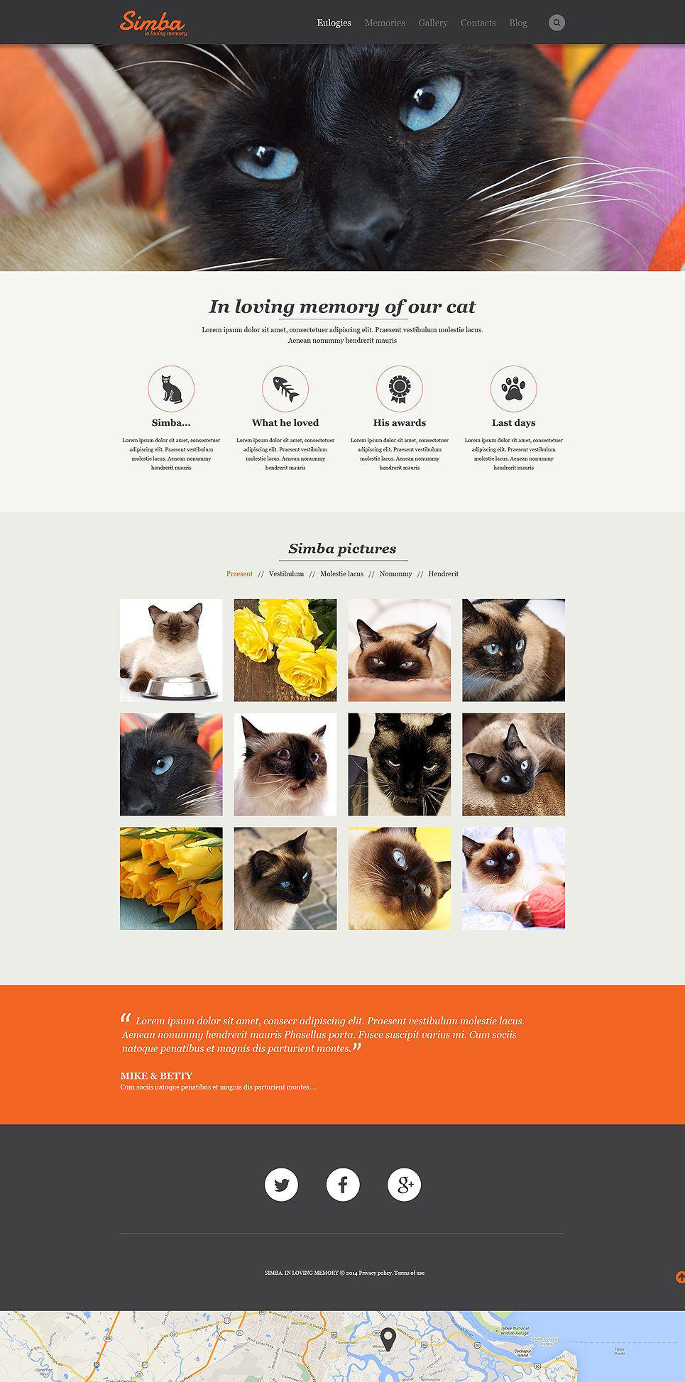 Cat Responsive Website Template New Screenshots BIG