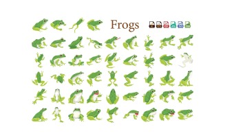 Frog Icon Illustrations Cute, Unique Frog Designs for Digital & Print Projects Digital Print