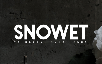 SNOWET – Clean Sans-Serif Font for Books & Titles