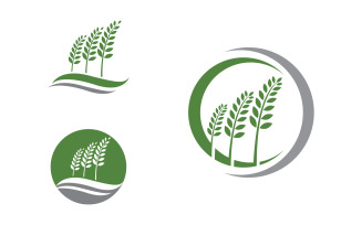 Healthy life eco tree leaf concept logo design template v.10