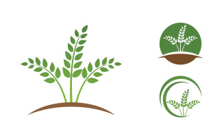 Healthy life eco tree leaf concept logo design template v.2