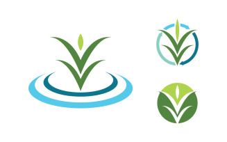 Healthy life eco tree leaf concept logo design template v.3