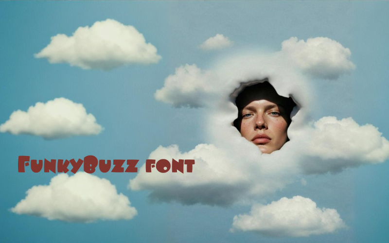 FunkyBuzz font-Regular-086-25 Font
