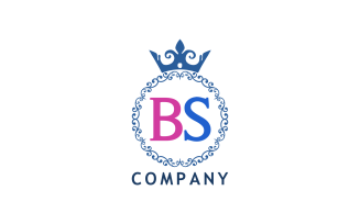 BS Letter Custom Design Logo Template