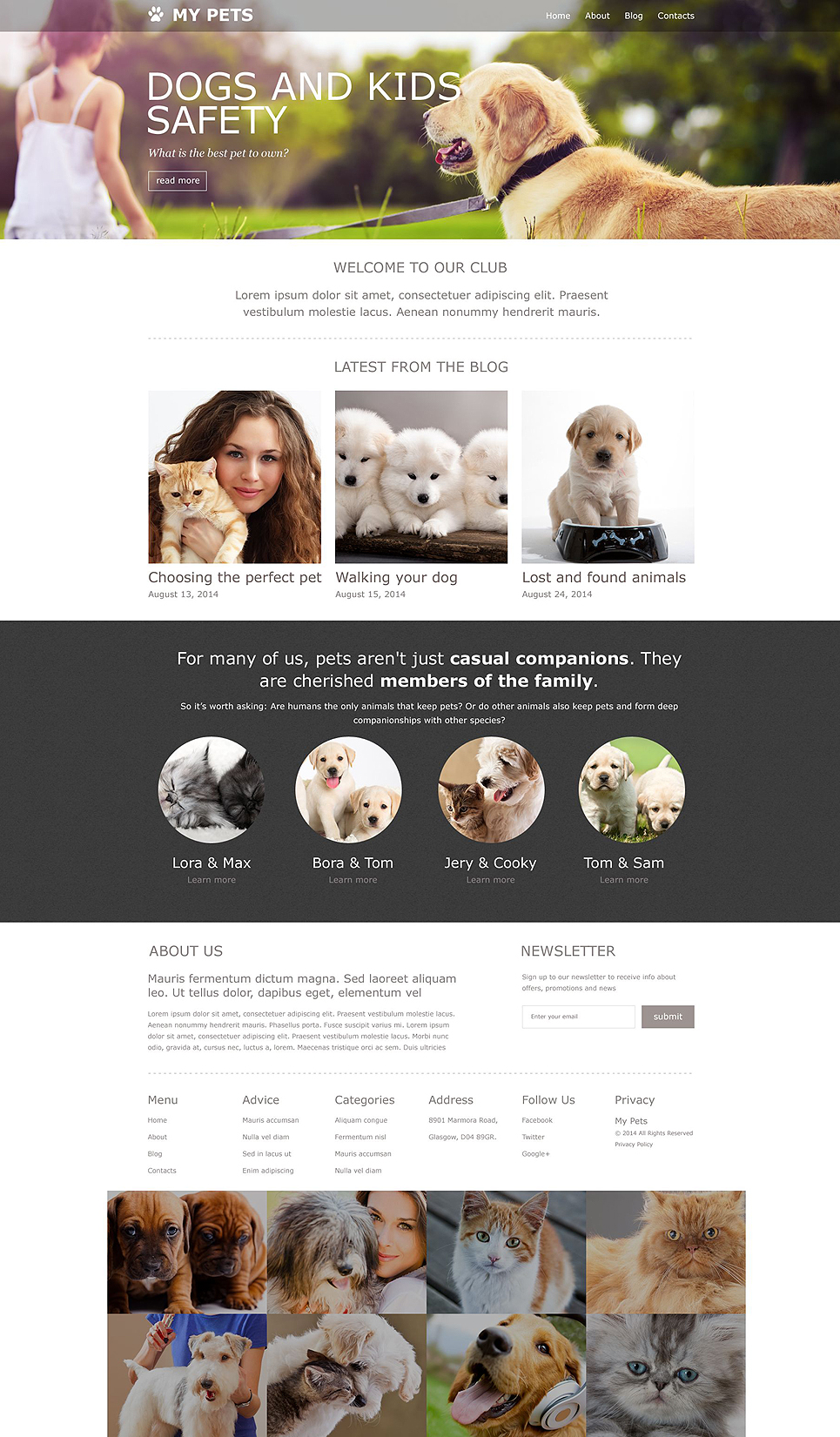 Pet Shop Muse Template New Screenshots BIG