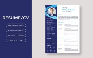 Stylish resume curriculum template