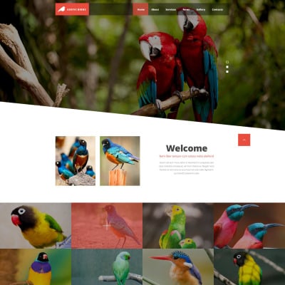 Exotic Birds Website Template