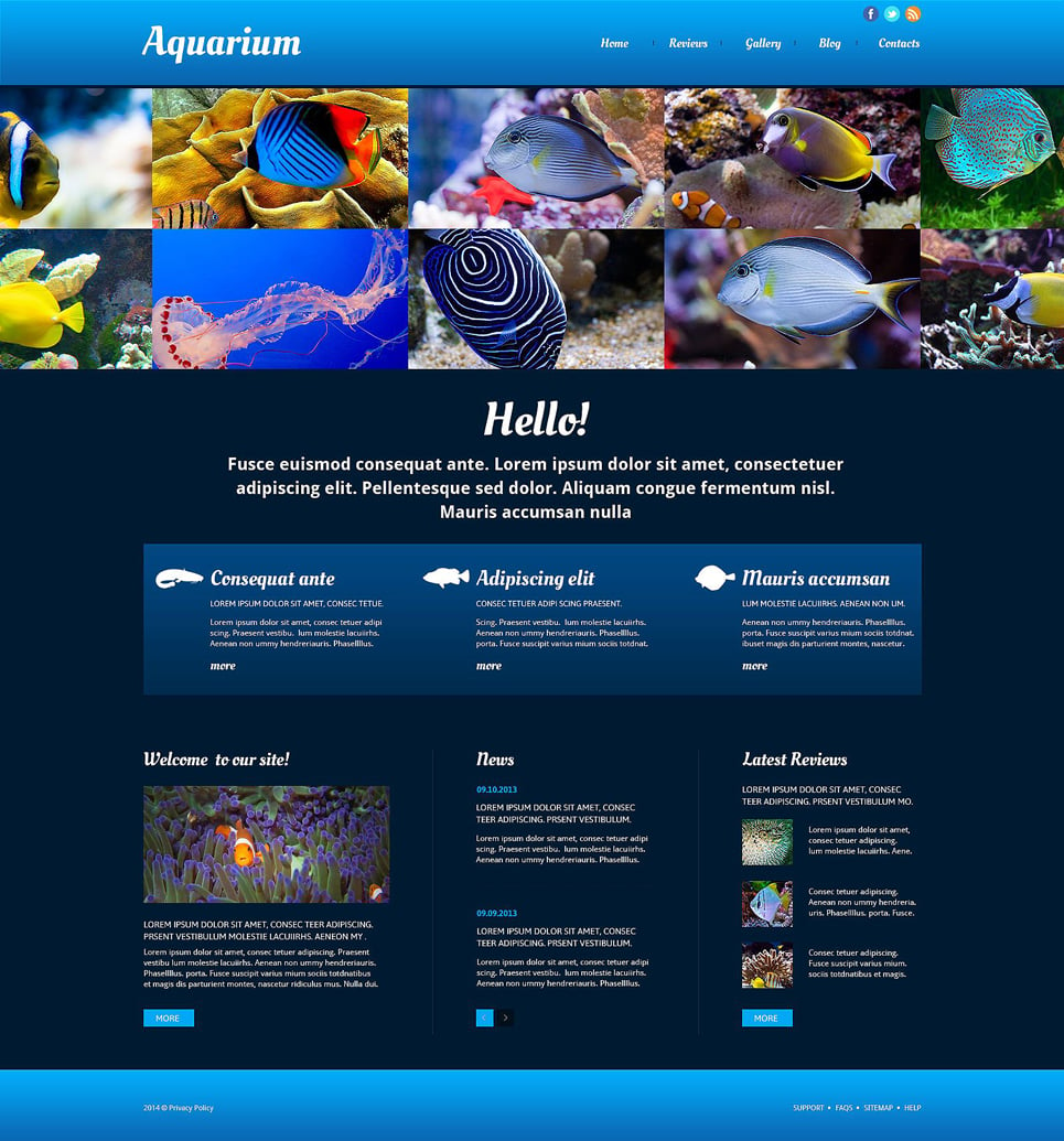 Fish Responsive Website Template New Screenshots BIG