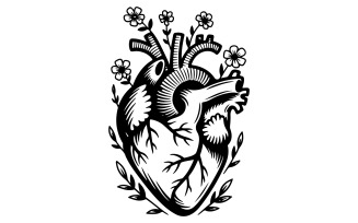 A vector illustration of a muscle