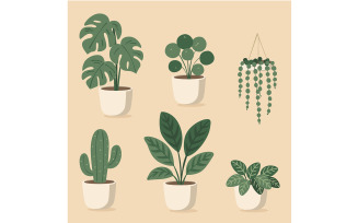 Assorted Indoor Potted Plants Collection