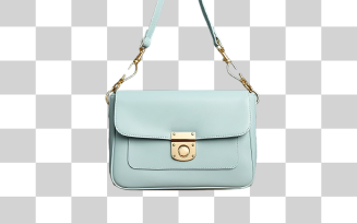 Hanging ladies purse transparent background