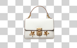 Light color ladies hand bag transparent background