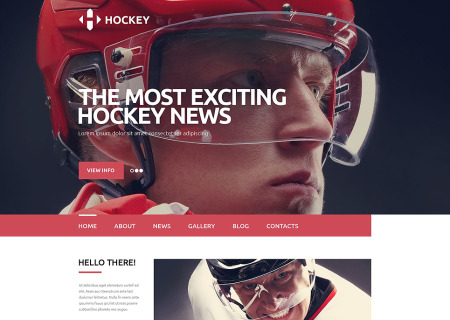 Hockey News Portal