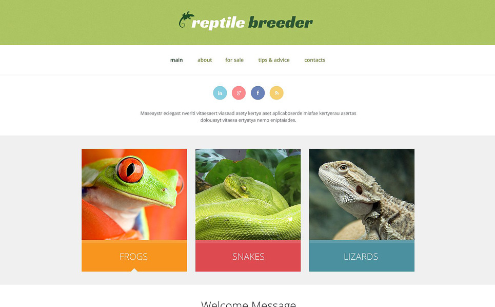 Reptile Responsive Website Template #52600