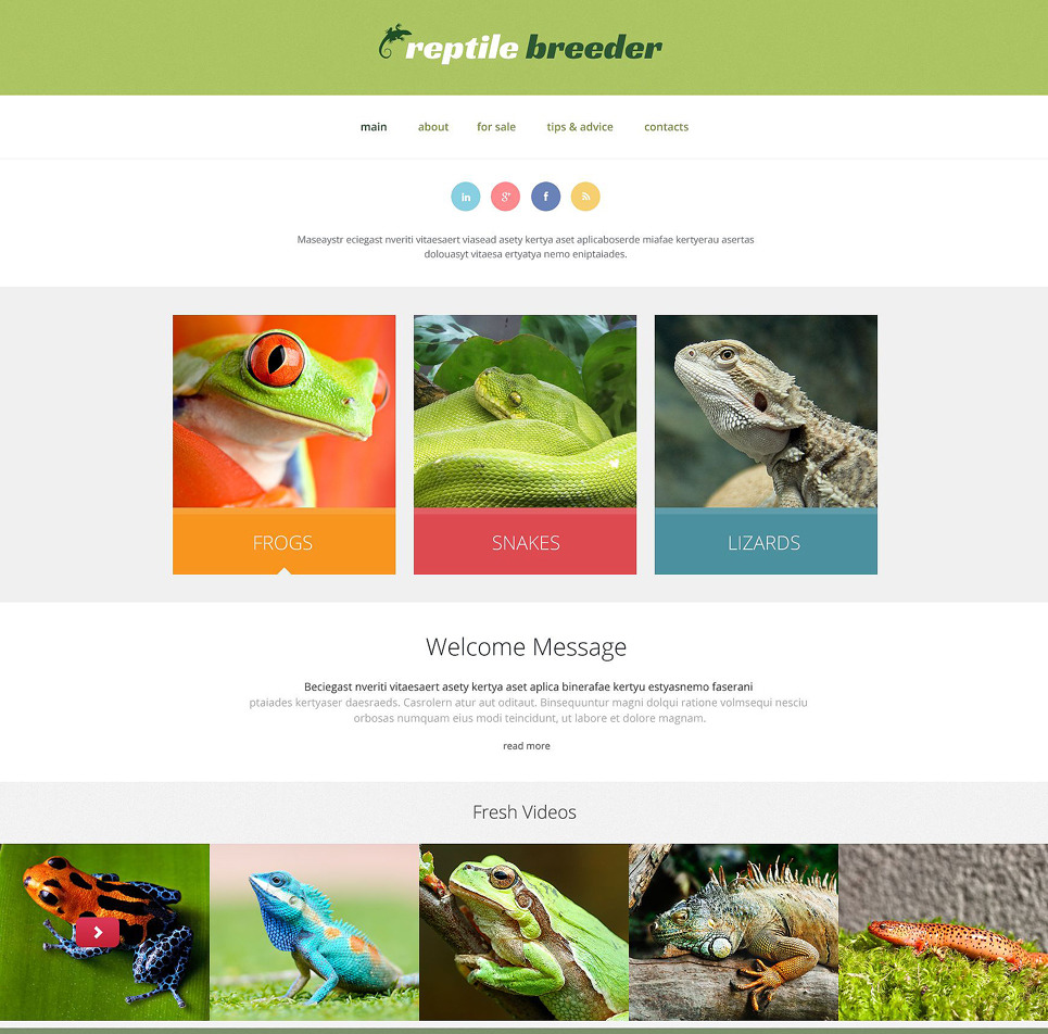 Reptile Parallax Website Theme Big Screenshot Reptile Responsive Website Template New Screenshots BIG