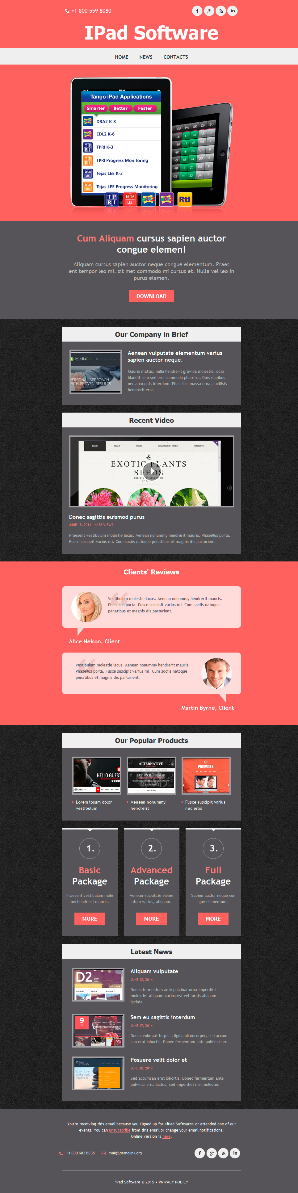 Software Company Responsive Newsletter Template New Screenshots BIG