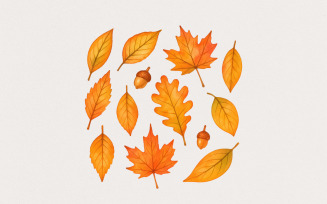 Autumn Leaves Watercolor PNG, Fall Leaf Clipart, Hand Drawn Botanical PNG, Maple Oak Acorn,