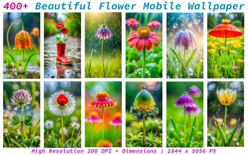 400+ Beautiful Flower Mobile Wallpaper Background