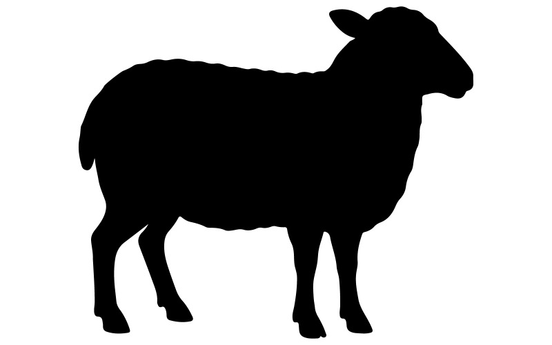 sheep silhouette vector art illustration Illustration