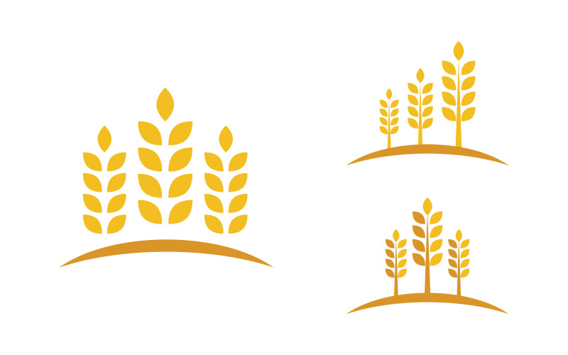 Farm Agriculture wheat rice vector illustration design v.4 Logo Template