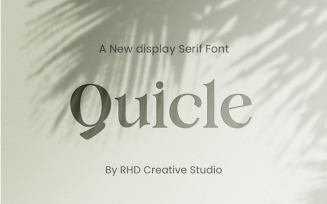 Quicle New Display Serif Font