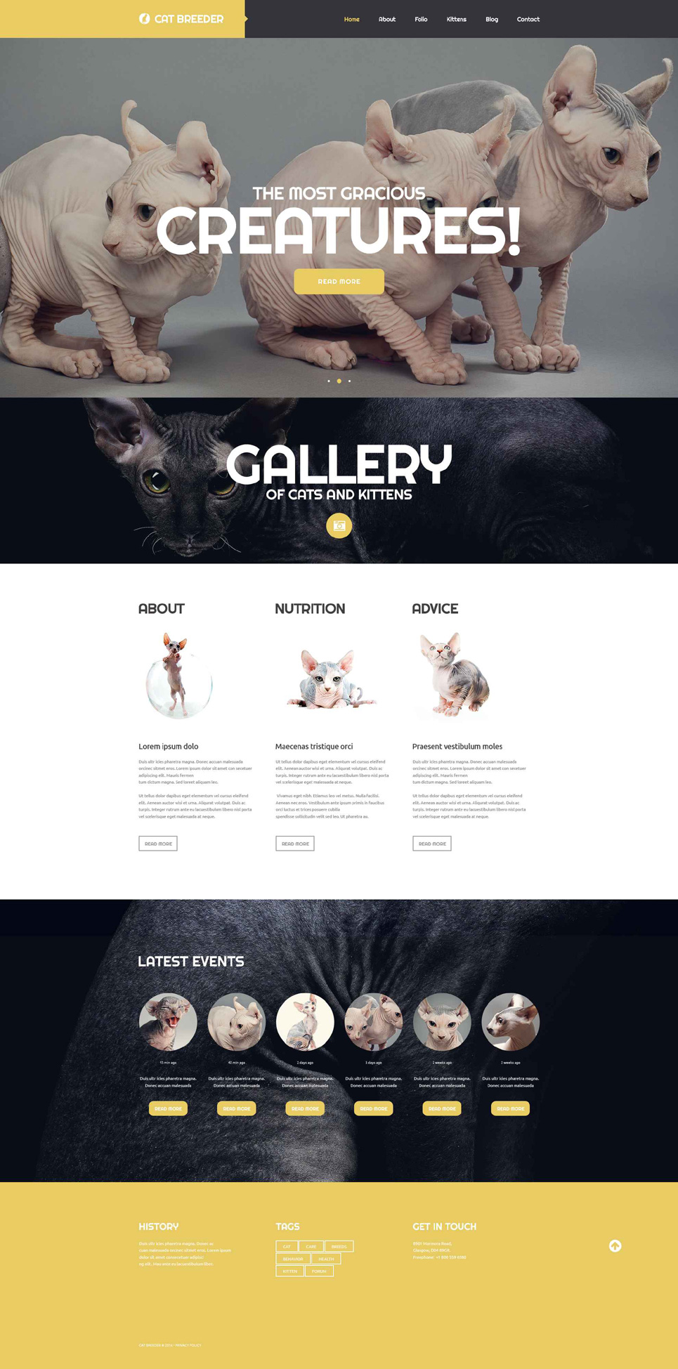 Cat Breeders Website Template New Screenshots BIG