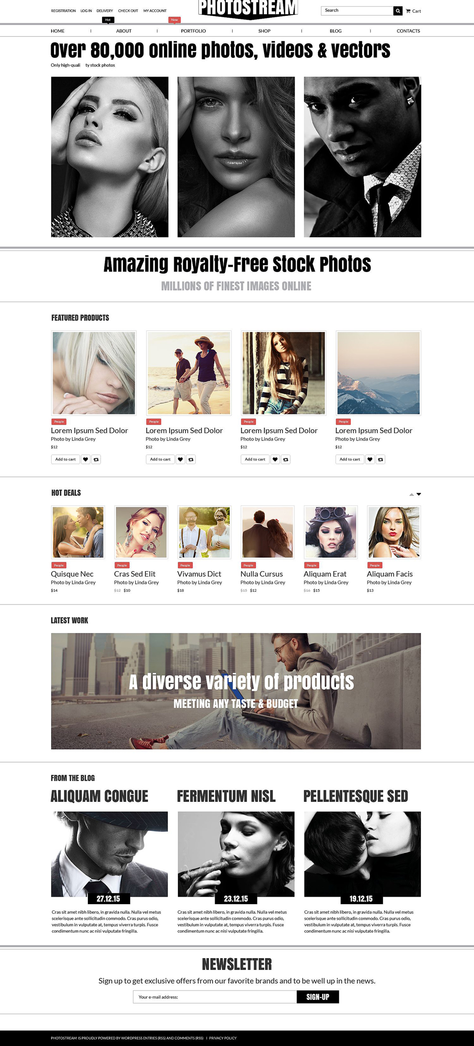 Photo Stock WooCommerce Theme New Screenshots BIG