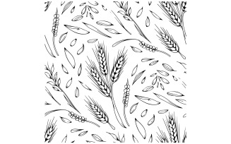 A illustrator of a seamless pattern of seeds
