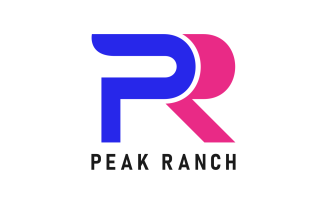 PR Letter Custom Design Logo Template