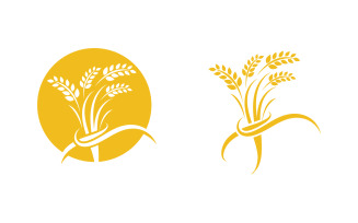 Farm Agriculture wheat rice vector illustration design v.10
