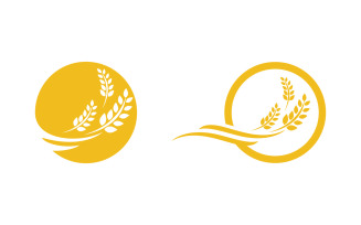 Farm Agriculture wheat rice vector illustration design v.11