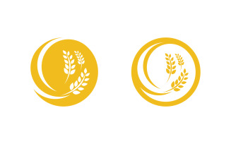 Farm Agriculture wheat rice vector illustration design v.13